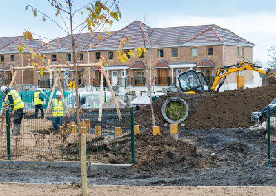 Stocking Wood, Rathfarnham, Dublin