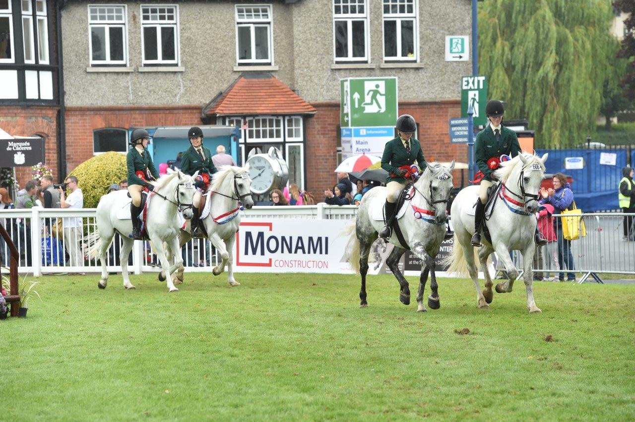 Stena Line Horse Show